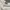 O'Neill Vintage T-shirt Pria white photo 8