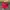 Hat Pria Red