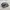 Salomon Gorpcore Sportswear Sneakers Pria White Gray