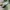 Nike Casual Sneakers Pria green khaki photo 3