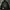 Columbia Gorpcore Windbreaker Pria Black