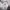 Puma Streetwear Sportswear Hoody Pria white photo 6