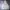 Covernat Streetwear Sportswear Hoody Pria gray photo 1