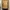 Carhartt Streetwear Denim Jacket Pria Brown