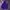 Champion Streetwear Sportswear Hoody Pria purple photo 1