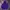 Champion Streetwear Sportswear Hoody Pria Purple