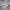 New Balance Streetwear Sportswear Hoody Pria gray photo 5