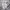 New Balance Streetwear Sportswear Hoody Pria gray photo 7