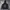 Compagno Streetwear Sportswear Hoody Pria Black