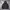 Compagno Streetwear Sportswear Hoody Pria Black