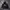 Karl Kani Streetwear Sportswear Hoody Pria black photo 1