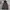 FUBU Y2K Grunge Windbreaker Pria red black photo 1