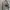 Polo Ralph Lauren Vintage Sportswear Sweater Pria gray photo 2