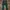 Emo Sweatpants & Joggers Pria green photo 2