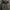 National Geographic Streetwear Hoody Pria gray photo 4