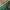 Flare pants Wanita green photo 2