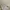Converse Streetwear Sneakers Pria white photo 2