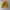 H&M Casual Hoody Wanita yellow photo 2