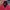 Dickies Vintage Y2K Sweater Pria red photo 2