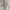 WHO.A.U Streetwear Hoody Pria tan photo 2