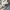 WHO.A.U Streetwear Hoody Pria tan photo 4