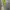 ZARA Streetwear Hoody Pria green photo 3