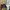 ZARA Streetwear Hoody Pria green photo 4