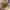 Maison Margiela Luxury Minimalist Pria multicolor photo 3