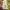 Maison Margiela Luxury Minimalist Pria multicolor photo 7