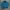 LL Bean Bomber jacket Pria green photo 1