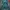 Kenzo Luxury Skirt Wanita green blue photo 2