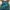 Kenzo Luxury Skirt Wanita Green Blue