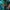 Kenzo Luxury Skirt Wanita green blue photo 5
