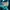 Kenzo Luxury Skirt Wanita green blue photo 6
