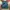 Kenzo Luxury Skirt Wanita green blue photo 1
