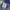 Polo Ralph Lauren Short Pria blue photo 5