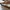 Loewe Bags & purse Wanita white photo 3