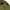 Converse Vintage Avant Garde Parka Pria green photo 4