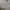 Old Navy Vintage Polo shirt Pria gray photo 1