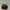 The North Face Gorpcore Casual Hat Pria navy photo 2