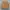 Denim jacket Pria brown orange photo 1
