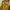 Yellow Corn Vintage Jacket photo 3