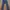 Levi's Streetwear Casual Jeans Pria Navy
