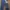 Levi's Streetwear Casual Jeans Pria navy photo 2