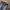 Streetwear Casual Jeans Pria white blue photo 4