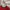 Casual Sweater Pria red photo 4