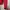 Casual Sweater Pria red photo 5