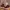 Nike Air Jordan Casual Sneakers Pria burgundy photo 2