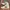 Adidas Casual Sneakers Pria white photo 1