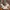 Adidas Casual Sneakers Pria white photo 2